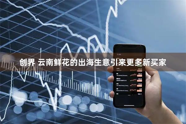 创界 云南鲜花的出海生意引来更多新买家