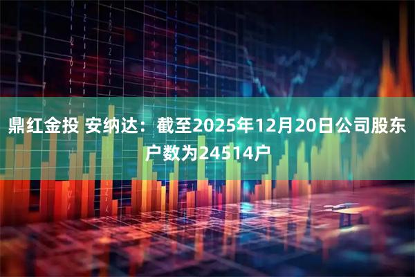 鼎红金投 安纳达：截至2025年12月20日公司股东户数为24514户