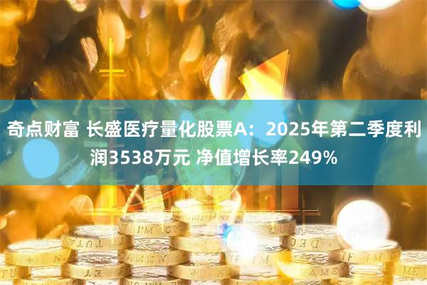奇点财富 长盛医疗量化股票A：2025年第二季度利润3538万元 净值增长率249%